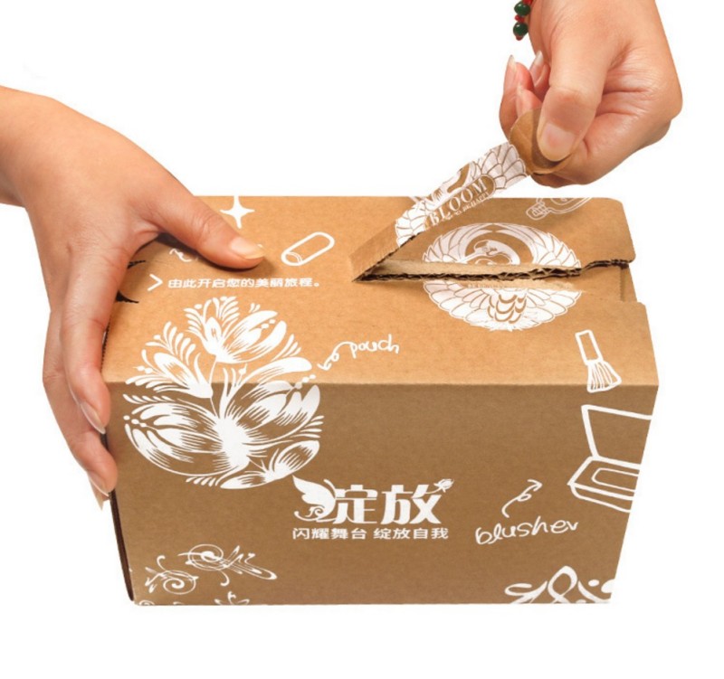 Verpackungsbox mit Reißverschluss